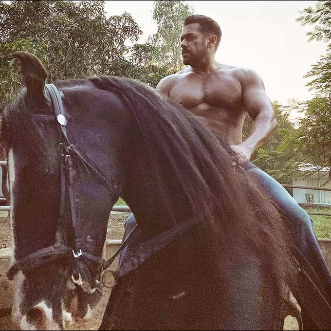 salman khan horse