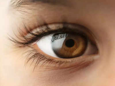 Tips For Eye health: ఈ ఉప్పు వాడితే.. కళ్లు బాగా కనిపిస్తాయ్‌..!