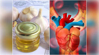 Garlic With Honey Benefits: মধুর সঙ্গে মিশিয়ে নিন রসুন, ওজন তো কমবেই, দূর হবে জটিল অসুখ