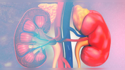 Kidney diseases : நாள்பட்ட சிறுநீரக பிரச்சினை ஏதாவது இருக்கானு எப்படி தெரிஞ்சிக்கிறது? அறிகுறிகள் இதோ