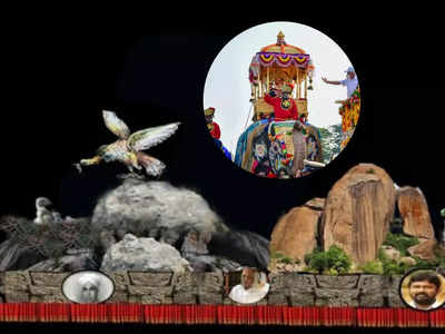 Ramanagara Vulture: ಮೈಸೂರು ಜಂಬೂ ಸವಾರಿಯಲ್ಲಿ ಹಾರಾಡಲಿವೆ ರಾಮನಗರದ ರಣಹದ್ದುಗಳು!