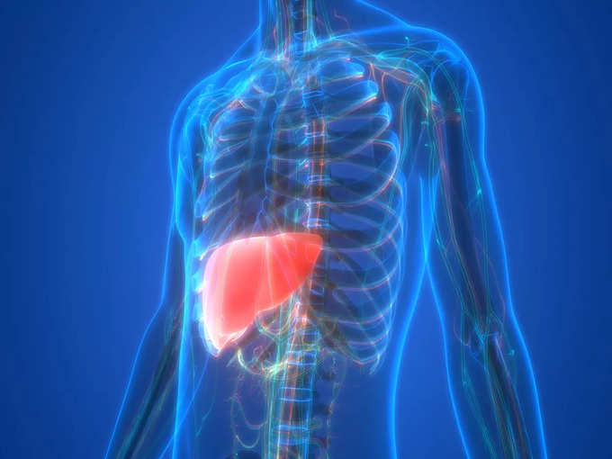 Fatty Liver Symptoms