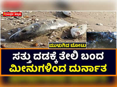 Uttara Kannada: ಕಾರವಾರದ ಅರಬ್ಬೀ ಸಮುದ್ರದಲ್ಲಿ ಮುಳುಗಿದ ಬೋಟು: ಸತ್ತು ದಡಕ್ಕೆ ತೇಲಿ ಬಂದ ಮೀನುಗಳಿಂದ ದುರ್ವಾಸನೆ