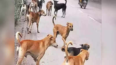Stray Dogs: ಹೈದರಾಬಾದ್‌ನಲ್ಲಿ ಆಸ್ಪತ್ರೆ ಆವರಣದಲ್ಲಿಯೇ ವೈದ್ಯೆ ಮೇಲೆ ಬೀದಿ ನಾಯಿಗಳ ದಾಳಿ