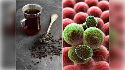 Black Tea Benefits: এক কাপ লিকার চা খেলেই দূরে থাকবে বহু ঘাতক অসুখ, জানুন দ্রুত