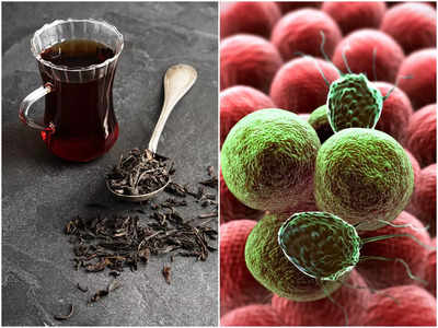 Black Tea Benefits: এক কাপ লিকার চা খেলেই দূরে থাকবে বহু ঘাতক অসুখ, জানুন দ্রুত