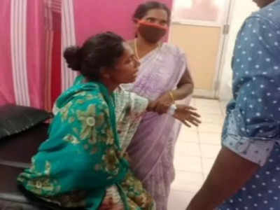 பாபநாசம்: பட்டப் பகலில் பயங்கரம்.. கரடி தாக்கி பெண் படுகாயம்..