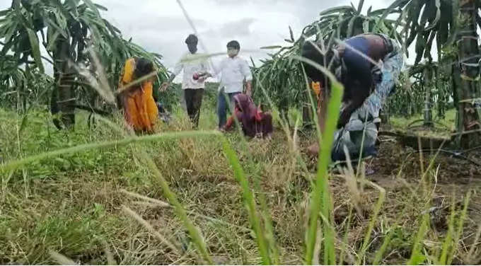 ​समाजावरील शिक्का पुसण्याचा निर्धार