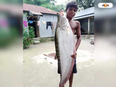 Chital Fish: মানসাই নদীতে মৎস্যজীবীদের জালে ১০ কেজি ওজনের চিতল মাছ, দাম কত উঠল?