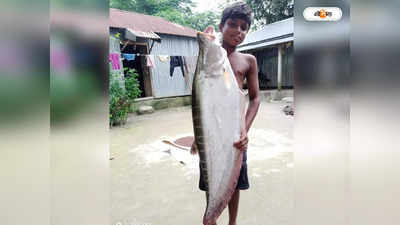 Chital Fish: মানসাই নদীতে মৎস্যজীবীদের জালে ১০ কেজি ওজনের চিতল মাছ, দাম কত উঠল?