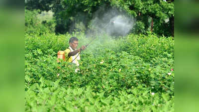 Nano Urea: ವಿಶ್ವದ ಮೊದಲ ಪರಿಸರ ಸ್ನೇಹಿ ಗೊಬ್ಬರ ನ್ಯಾನೋ ಯೂರಿಯಾ: ಇಫ್ಕೋ ಸಂಸ್ಥೆಯ ಹೊಸ ಆವಿಷ್ಕಾರ