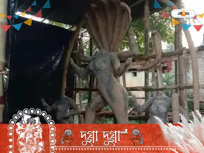 Durga Puja : দুর্গার আসনে মনসা পুজো করেন ফুলঘরা গ্রামের বাসিন্দারা, নিয়মে রয়েছে আরও চমক