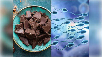 Dark Chocolate For Fertility: ডার্ক চকোলেটেই পুরুষের শারীরিক সম্পর্কে ফিরবে প্রাণ, সুখে কাটবে দাম্পত্য