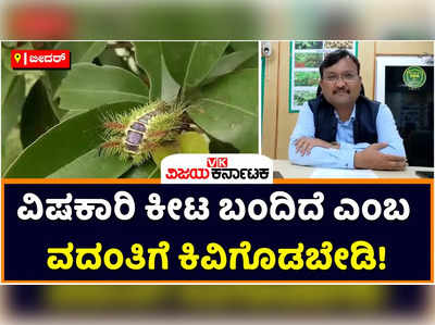 Spiny Oak Slug: ಸ್ಪೈನಿ ಓಕ್ ಸ್ಲಗ್ ಕೀಟ ವಿಷಕಾರಿ ಅಲ್ಲ; ವದಂತಿಗೆ ಕಿವಿಗೊಡಬೇಡಿ ಎಂದು ಕೃಷಿ ಅಧಿಕಾರಿಗಳ ಮನವಿ