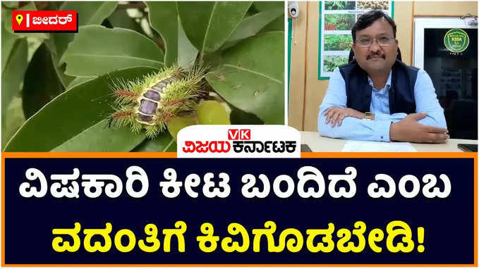 Spiny Oak Slug: ಸ್ಪೈನಿ ಓಕ್ ಸ್ಲಗ್ ಕೀಟ ವಿಷಕಾರಿ ಅಲ್ಲ; ವದಂತಿಗೆ ಕಿವಿಗೊಡಬೇಡಿ ಎಂದು ಕೃಷಿ ಅಧಿಕಾರಿಗಳ ಮನವಿ