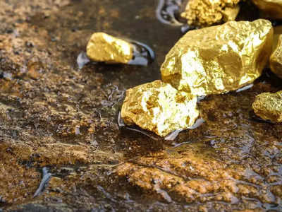 पाचंही बोटं तुपात, या देशात सापडला सोन्याचा मोठा खजिना, सरकारचा आनंद गगनात मावेना