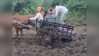 मरणानंतरही नरक यातना! चक्क बैलगाडीत नेला मृतदेह; मन हेलावणारा VIDEO