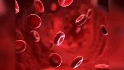 Platelet Count: രക്തത്തില്‍ പ്ലേറ്റ്‌ലെറ്റിന്റെ എണ്ണം കുറവാണോ? ഈ ഭക്ഷണങ്ങള്‍ കഴിക്കുന്നത് ഗുണം ചെയ്യും