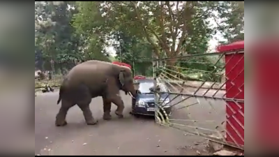 Elephant attack video: அசாமில் காரை பந்தாடும் யானை! அதிர்ச்சி வீடியோ