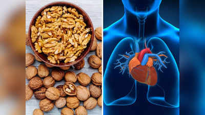 Nuts tips: अखरोट के फायदों पर भारी हैं इसके ये 5 नुकसान, सेहत बनाने के लिए खाते हैं रोज तो हो जाएं सावधान