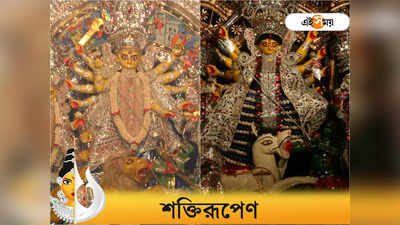 Durga Puja 2022: বাঘের বদলে কী ভাবে সিংহ হল দেবী দুর্গার বাহন?