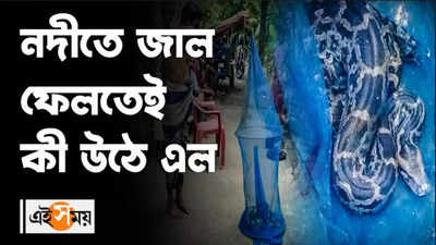 নদীতে জাল ফেলতেই উঠে এল বিশাল অজগর