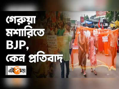 গেরুয়া মশারিতে BJP, কেন প্রতিবাদ?