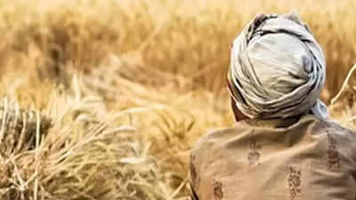 Farmers suicide | 30 ವರ್ಷಗಳಲ್ಲಿ 6 ಲಕ್ಷ ರೈತರ ಆತ್ಮಹತ್ಯೆ: ಜಿ.ಸಿ.ಬಯ್ಯಾರೆಡ್ಡಿ