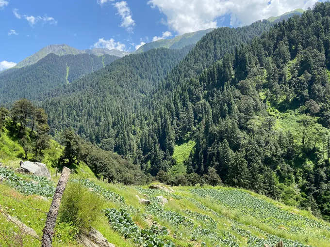 बरोट वैली, हिमाचल प्रदेश - Barot Valley, Himachal Pradesh