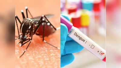 Dengue Treatment: ঘাটালে ডেঙ্গির থাবায় মৃত ১, পুজোর আগে বাড়ছে আতঙ্ক