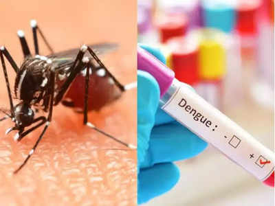 Dengue Treatment: ঘাটালে ডেঙ্গির থাবায় মৃত ১, পুজোর আগে বাড়ছে আতঙ্ক