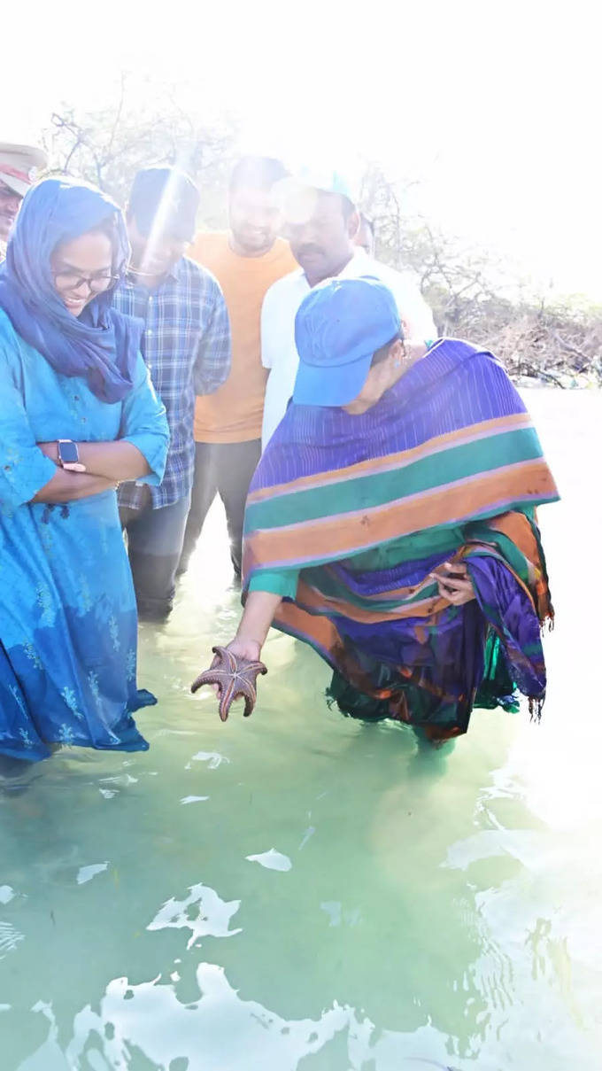 வான் தீவு பகுதியில் திமுக எம்பி கனிமொழி ஆய்வு!