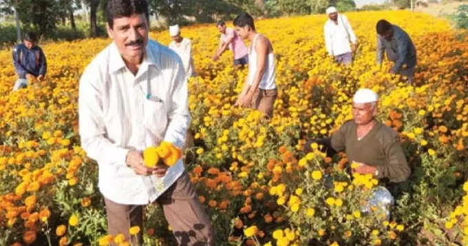 गावच्या सरपंचाने चित्र बदलले