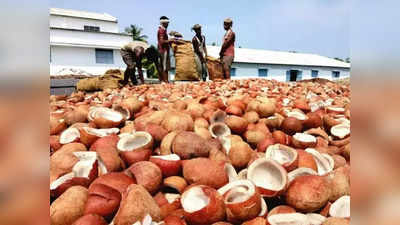 களைகட்டிய தேங்காய் பருப்பு ஏலம்.. ரூ.11 லட்சம் வருமானம்!