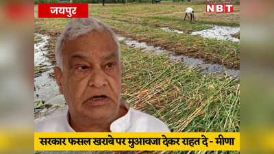 राजस्थान के कई जिलों में अतिवृष्टि से फसलें हुई बर्बाद, भाजपा ने किसानों को मुआवजा देने की मांग उठाई