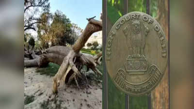सूखे पेड़ काटने पर न करें कार्रवाई.... दिल्ली हाई कोर्ट ने डिप्टी हेडमास्टर की सजा पर लगाई रोक