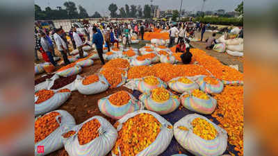 Mahalaya Amavasya: ಮಹಾಲಯ ಅಮಾವಾಸ್ಯೆಗೆ ಖರೀದಿ ಜೋರು; ಇಂದು ಹಲವು ದೇವಾಲಯಗಳಲ್ಲಿ ವಿಶೇಷ ಪೂಜೆ