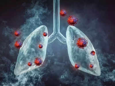 Foods For Healthy Lungs:  Lung Cancer चा धोका कमी करतील हे 5 सुपरफूड, फुफ्फुसात भरलेली घाण देखील फेकून टाकतील