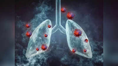 Foods For Healthy Lungs:  Lung Cancer चा धोका कमी करतील हे 5 सुपरफूड, फुफ्फुसात भरलेली घाण देखील फेकून टाकतील