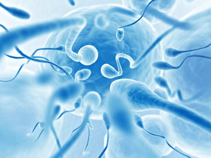 Male Infertility