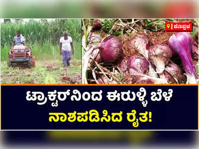 Onion Price: ದಿಢೀರ್‌ ಕುಸಿತ ಕಂಡ ಈರುಳ್ಳಿ ಬೆಲೆ; ಕೊಪ್ಪಳದಲ್ಲಿ ಟ್ರಾಕ್ಟರ್‌ನಿಂದ ಈರುಳ್ಳಿ ಬೆಳೆ ನಾಶಪಡಿಸಿದ ರೈತ!