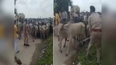 Cows Protest: హైవేలపై 10,000 ఆవులు.. కంట్రోల్ చేయలేక తలలు పట్టుకున్న పోలీసులు