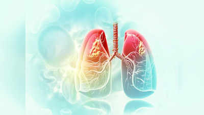 World Lung Day 2022 : कोणतीही लक्षणे नसताना फुफ्फुस होऊ शकतात खराब, म्हणून घर बसल्या अशी करा तपासणी