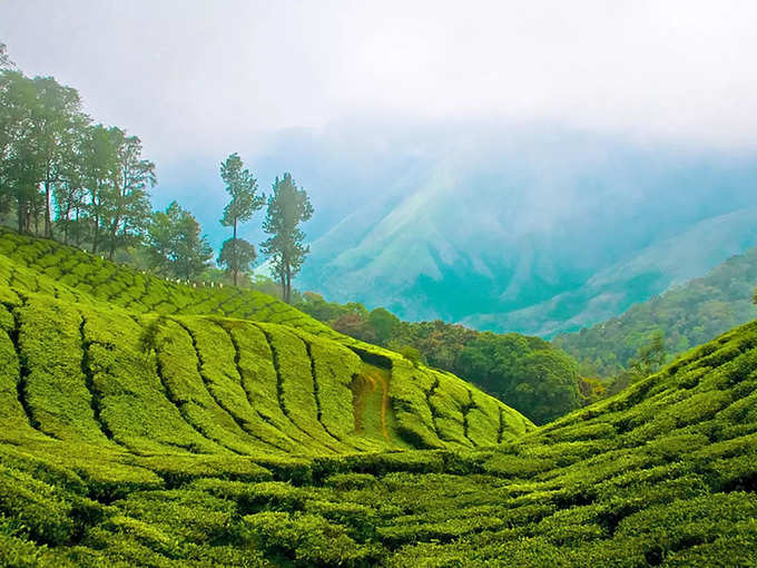 മോറിസ് ബംഗ്ലാവ്