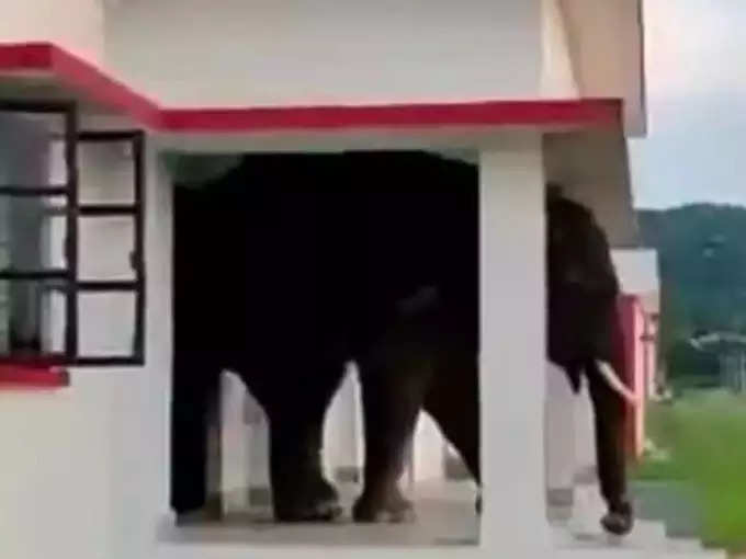 जब घर से निकलते दिखा था हाथी