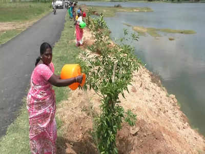 கலெக்டர் பாராட்டிய முக்குளம் பஞ்சாயத்து தலைவர்; அப்படி என்ன செய்தார் தெரியுமா?