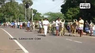 இரட்டை மாட்டுவண்டி பந்தயத்தில் 51 ஜோடி மாடுகள் பங்கேற்றன