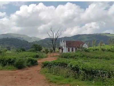 സഞ്ചാരികളുടെ തിരക്കൊഴിയാതെ ലൂസിഫർ പള്ളി;  വർഷമിത്ര കഴിഞ്ഞിട്ടും സൂപ്പർ ഹിറ്റ്, വീഡിയോ കാണാം