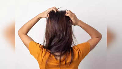 Hair lice: തലയിലെ പേന്‍ ശല്യമാണോ നിങ്ങളുടെ പ്രശ്‌നം; പേടിക്കണ്ട വീട്ടില്‍ തന്നെ പരിഹാരം കാണാം