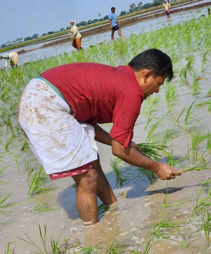 పొలం గట్టుపై కలెక్టర్ దంపతుల భోజనం.. కూలీలతో కలిసి సింపుల్‌గా